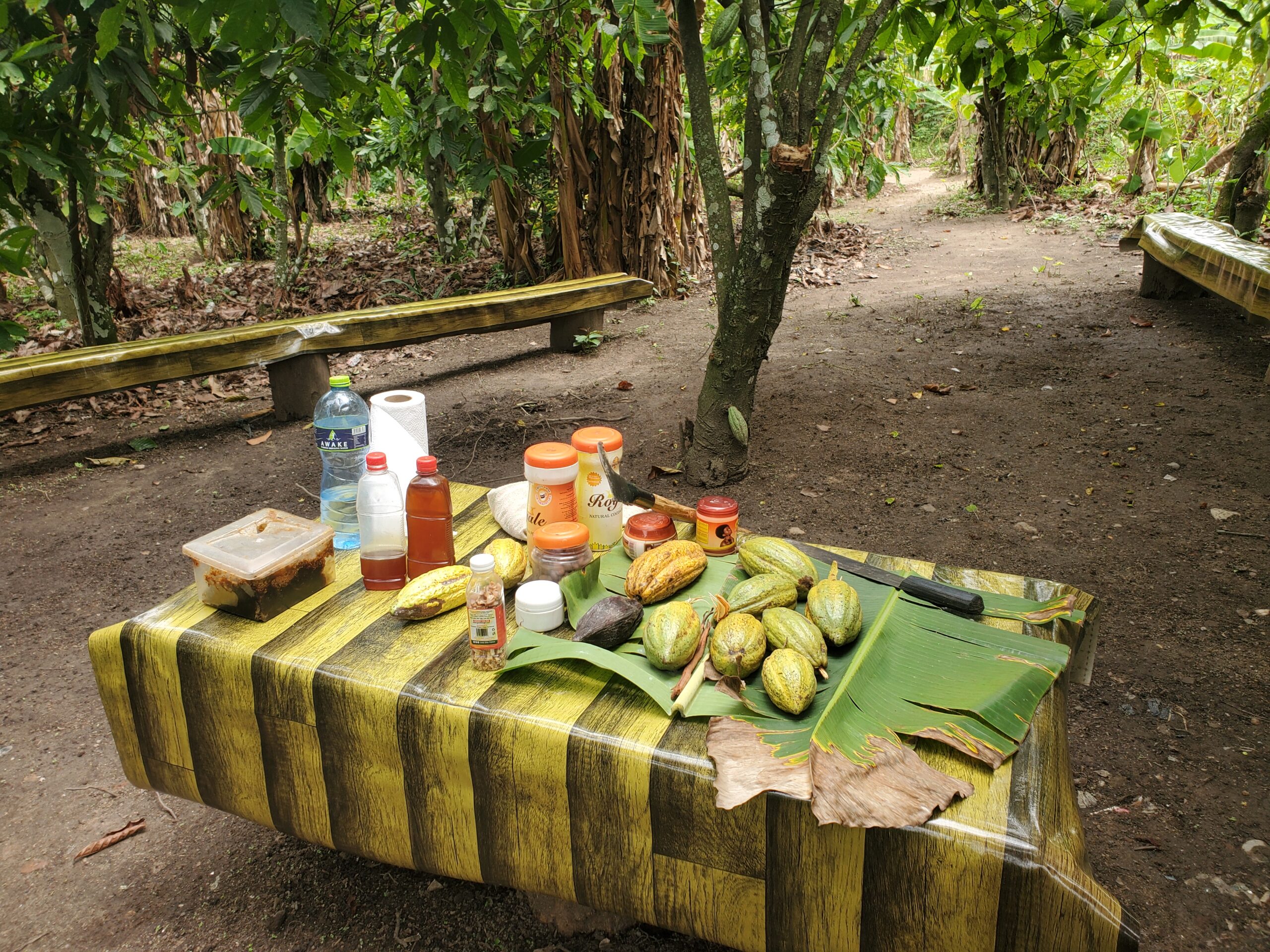 Cocoa Tour