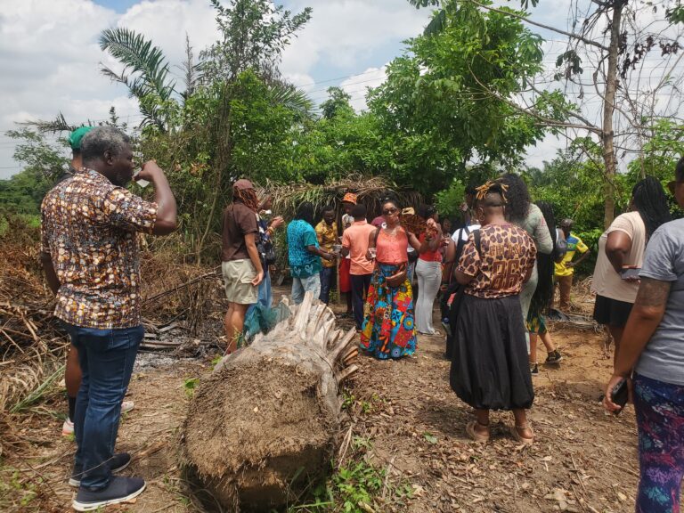 Palm Wine Tour